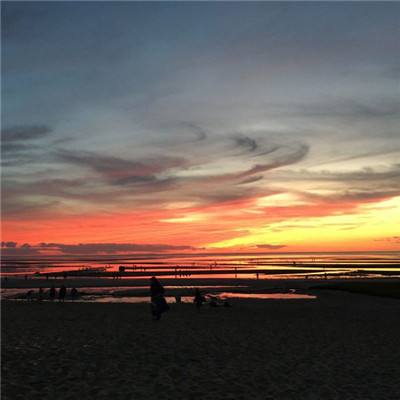 24名中国游客在加拿大因交通事故受伤